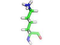 K - Lysine