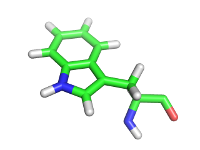 W - Tryptophan
